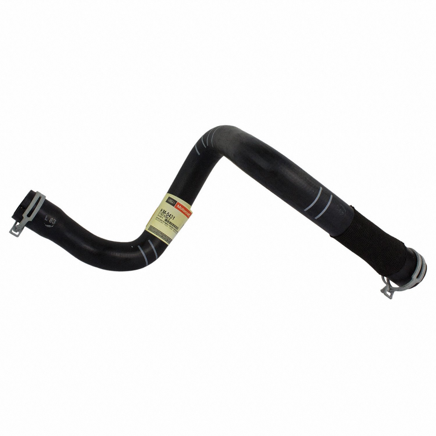 HOSE - RADIATOR (P)