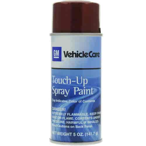 PAINT TOUCH-UP SPRAY 5 OZ