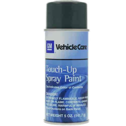 PAINT TOUCH-UP SPRAY 5 OZ