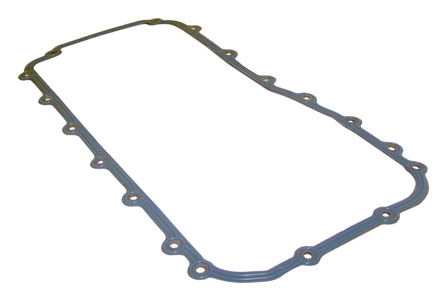 Engine Oil Pan Gasket