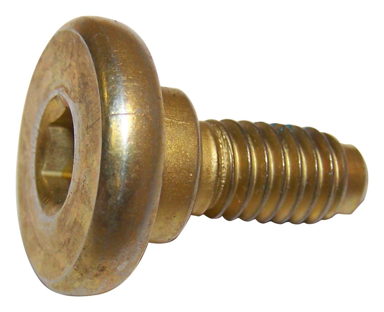 Brake Caliper Screw