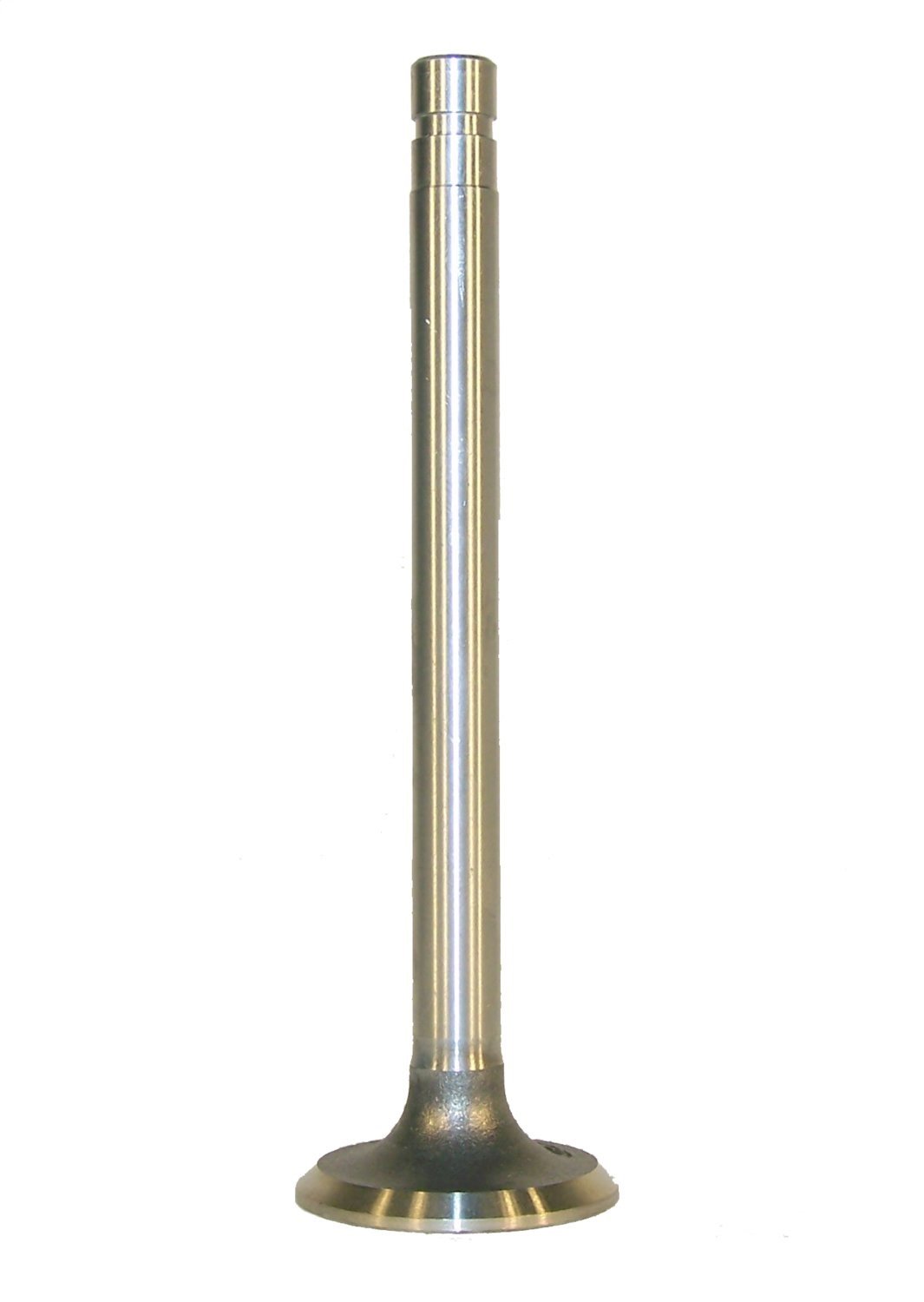 Exhaust Valve