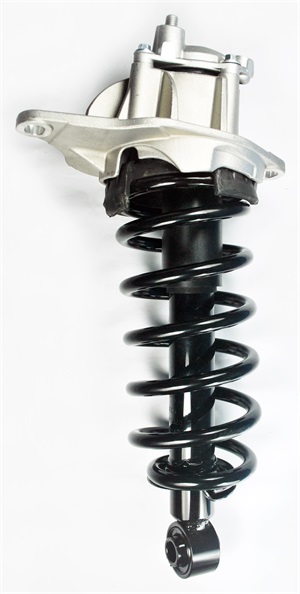 1345823R Suspension Strut and Coil Spring Assembly