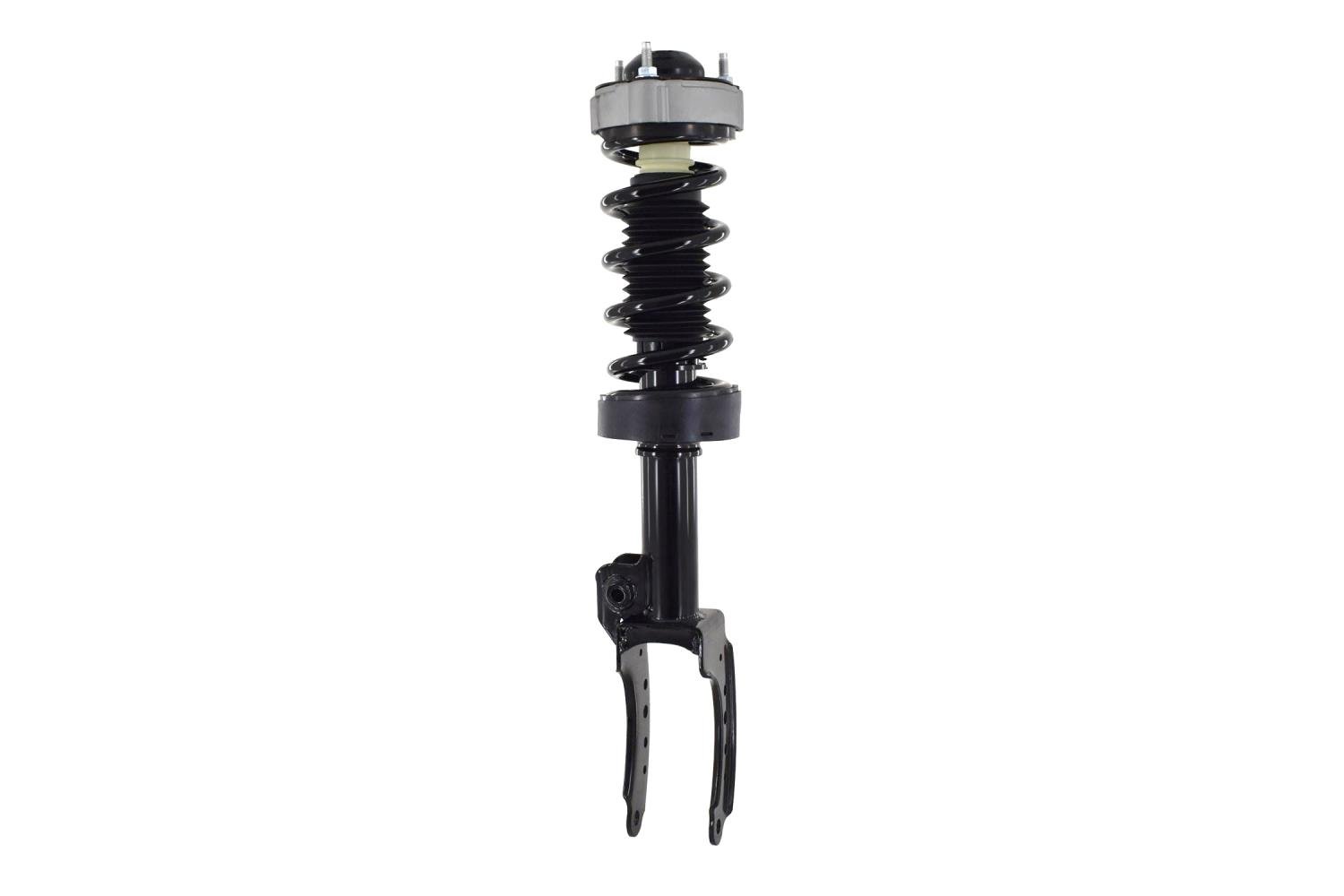 1355039L Suspension Strut and Coil Spring Assembly