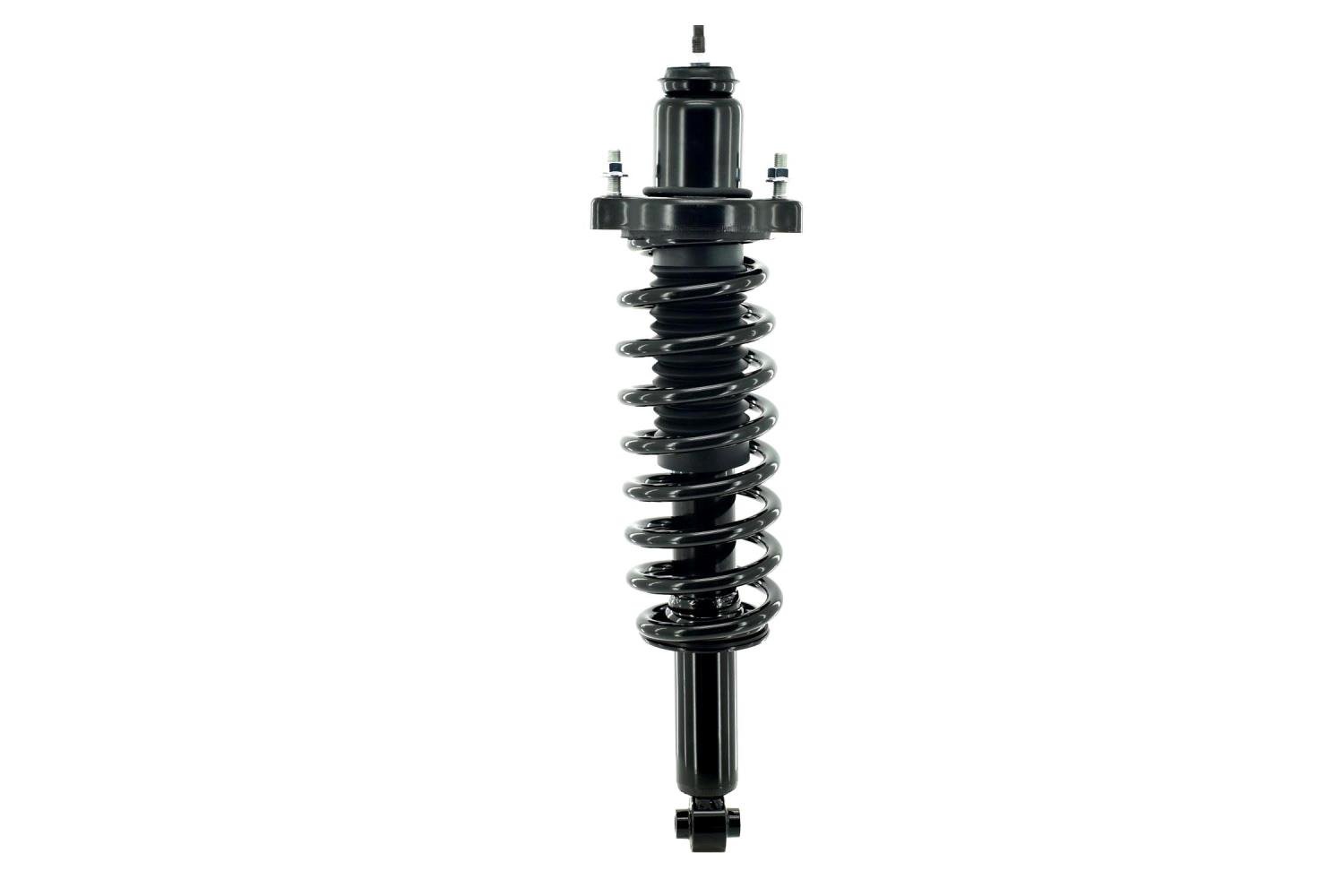2345844 Suspension Strut and Coil Spring Assembly