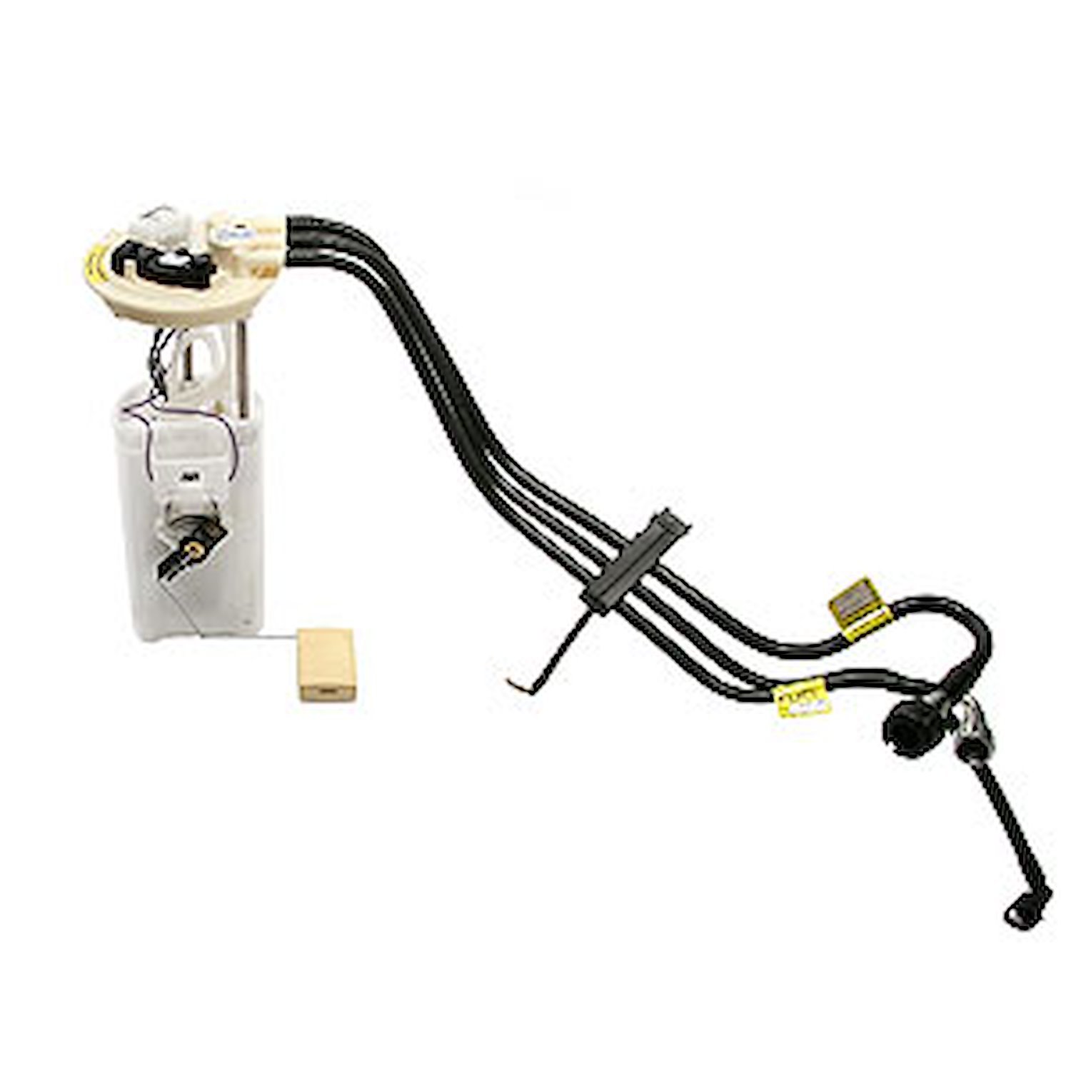 Fuel Pump Module Assembly