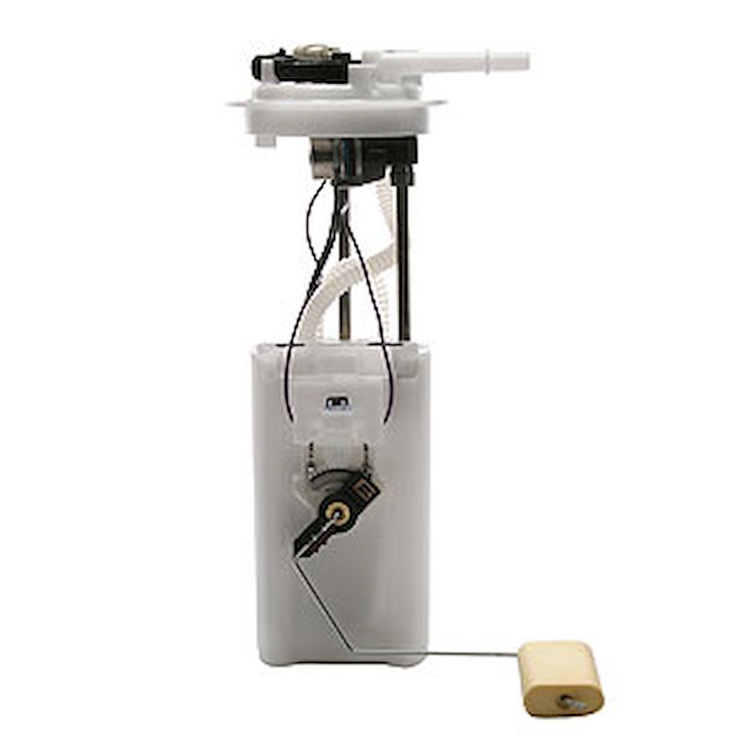 Fuel Pump Module Assembly