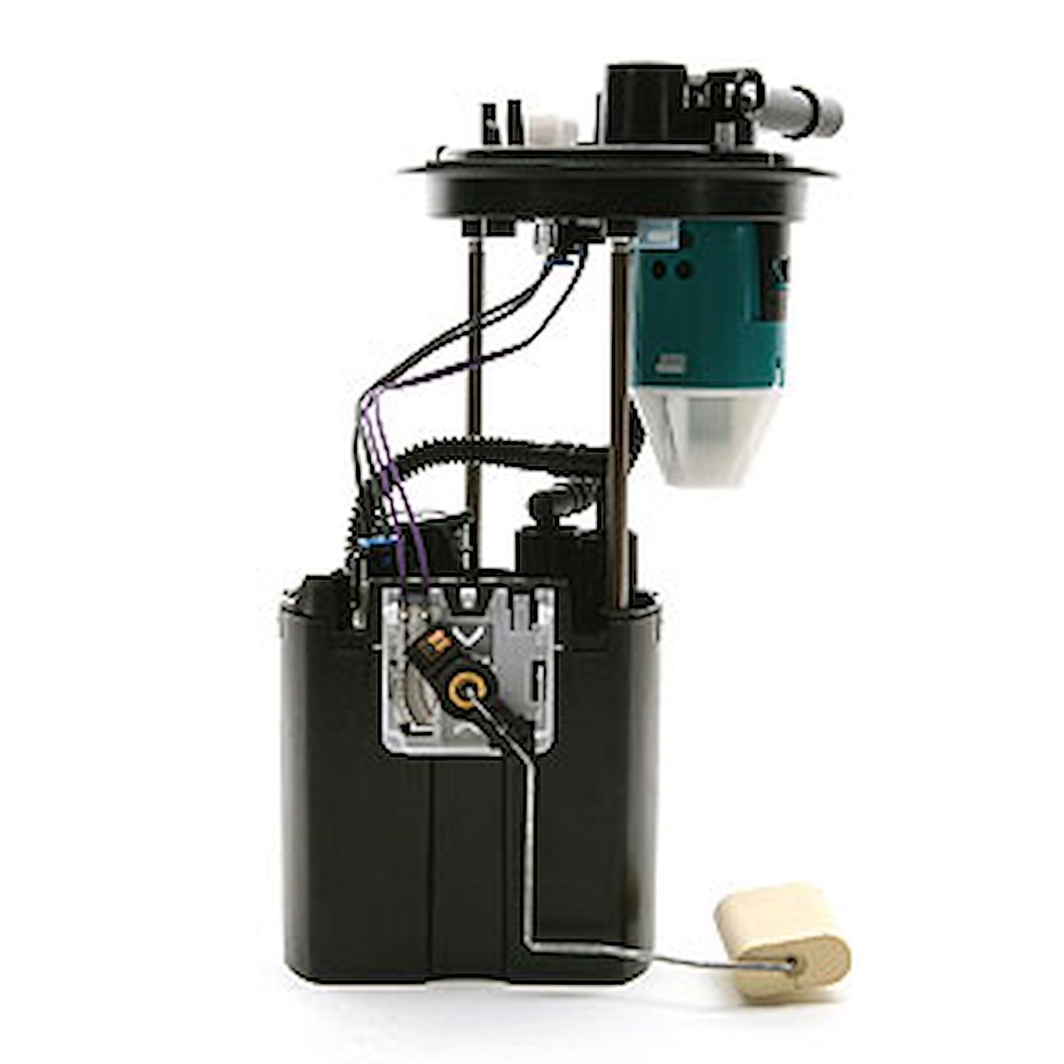 Fuel Pump Module Assembly