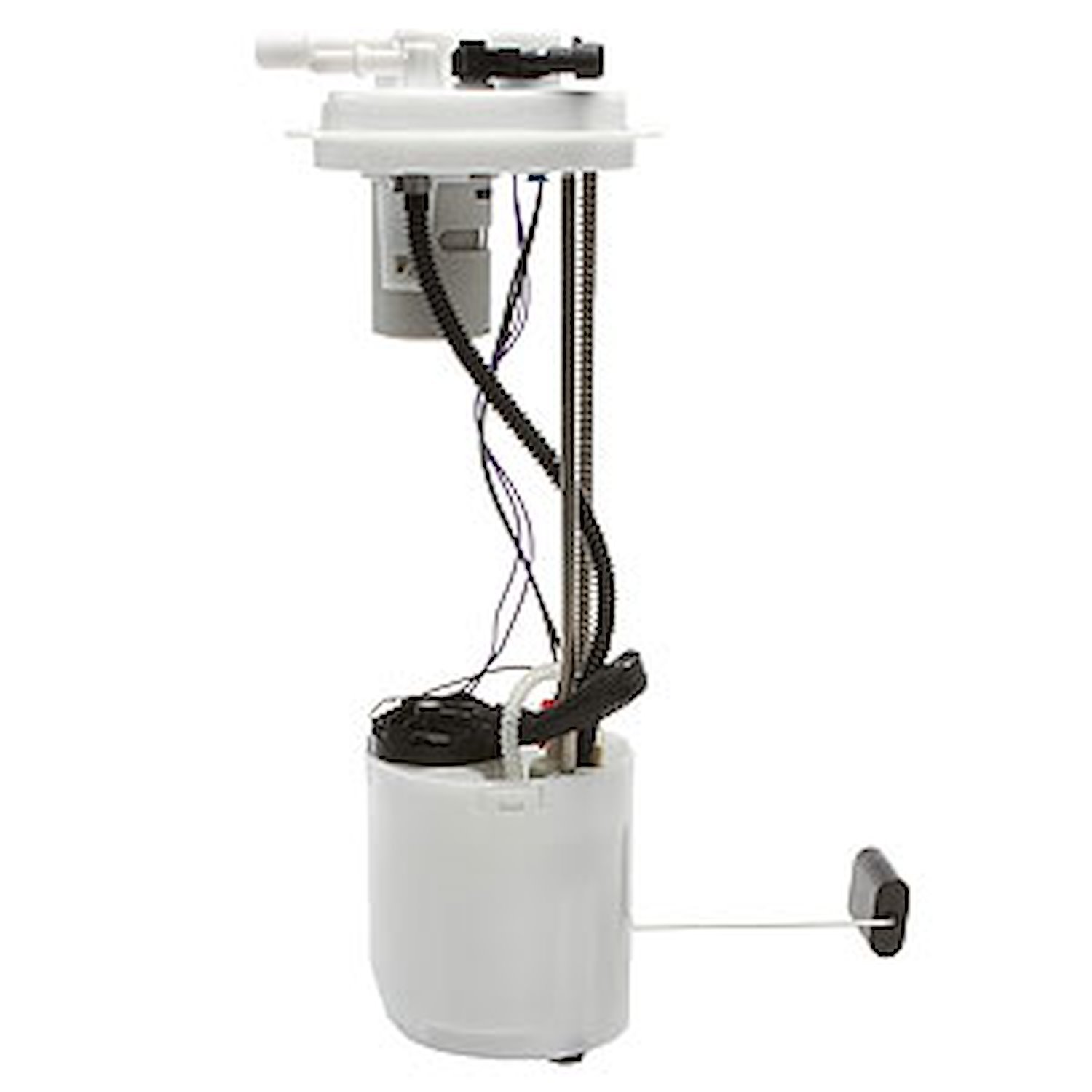 Fuel Pump Module Assembly