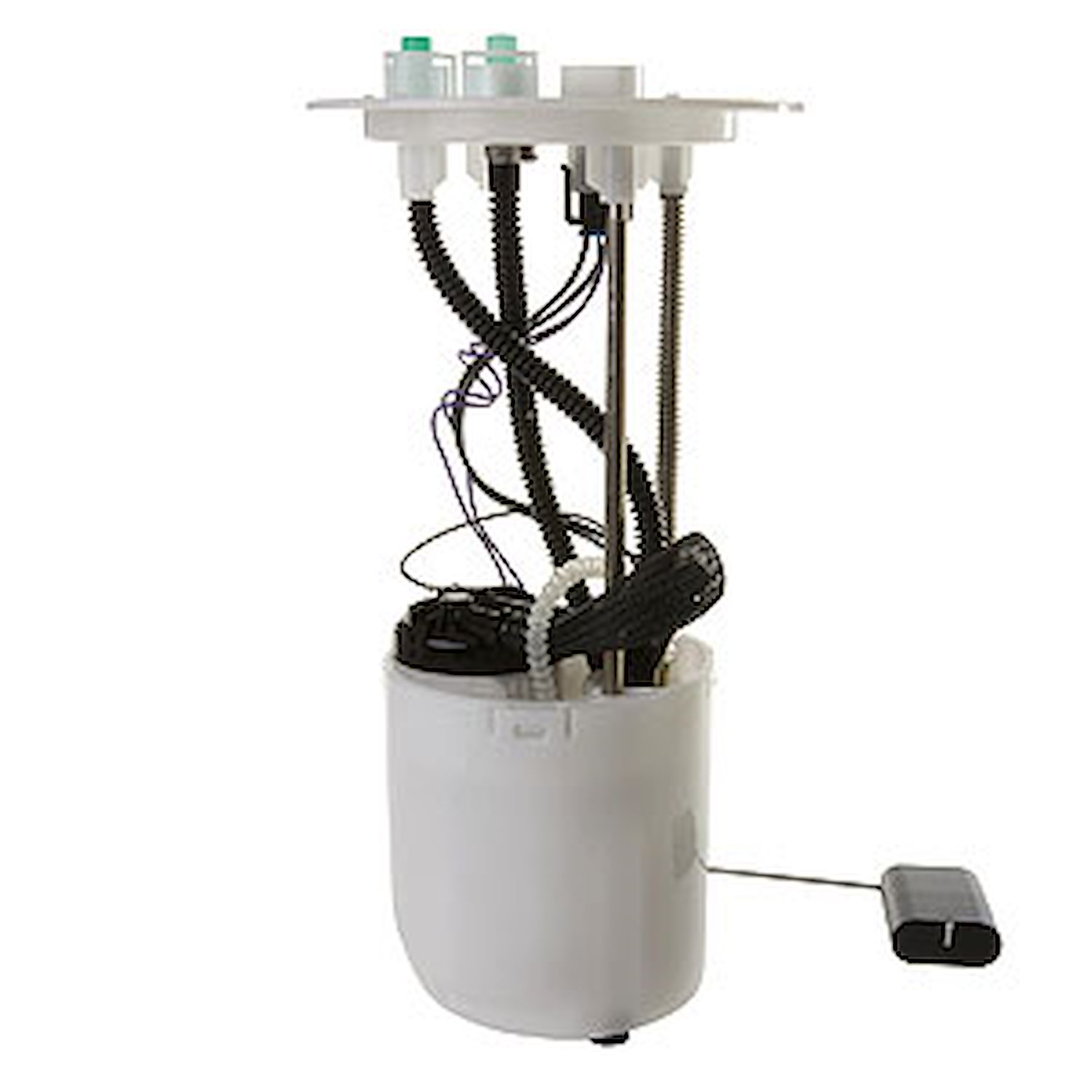 Fuel Pump Module Assembly