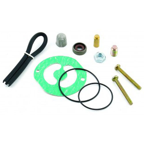 Gasoline Seal Kit For Fuel Pumps 110FI and 250