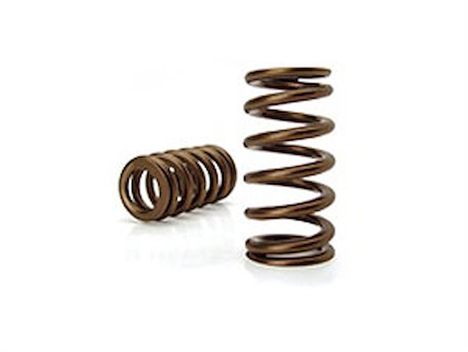 Beehive Valve Spring Ford 4.6L/5.4L 2V & 3V