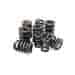 VALVE SPRINGS 4.6 FORD PREMIUM OVATE CONICAL SINGLE