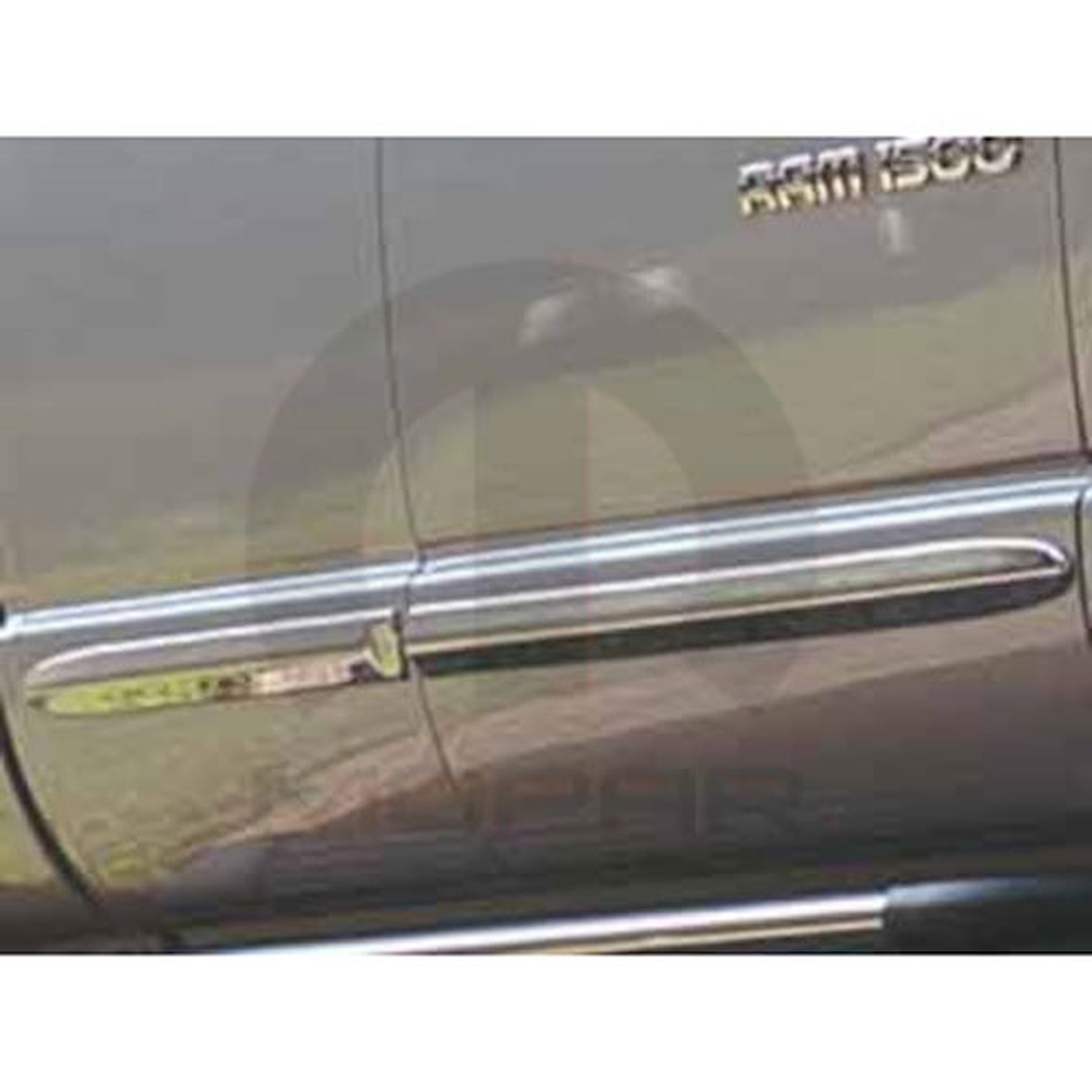 Chrome Door Molding 2005-11 Dodge Dakota, Crew &