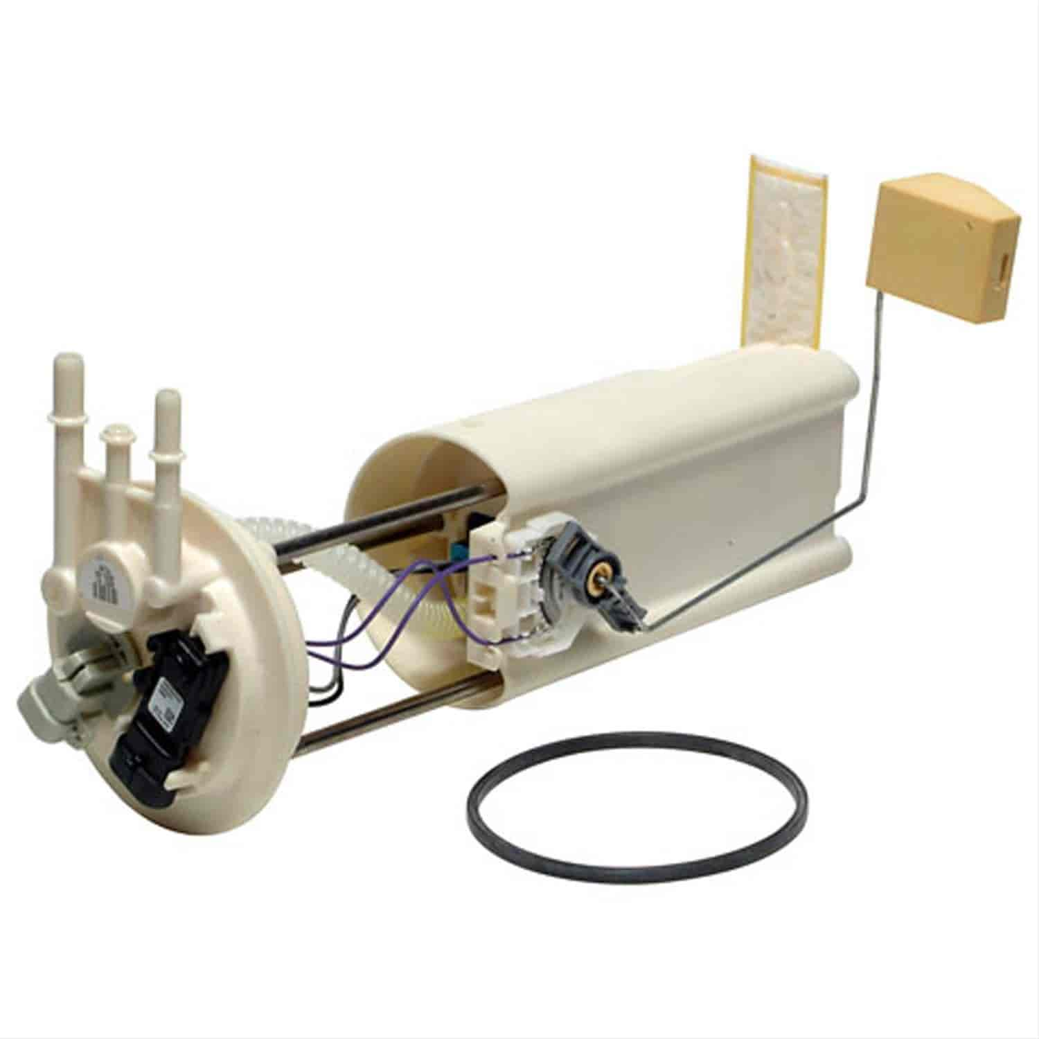 Fuel Pump Module Assembly