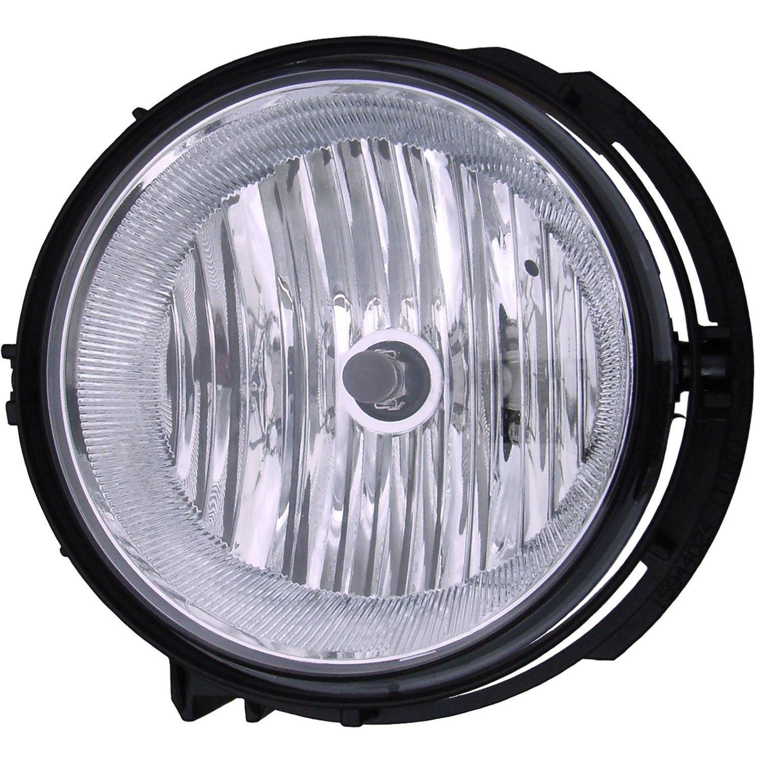 Fog Lamp Assembly