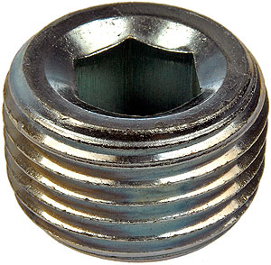 PIPE PLUG