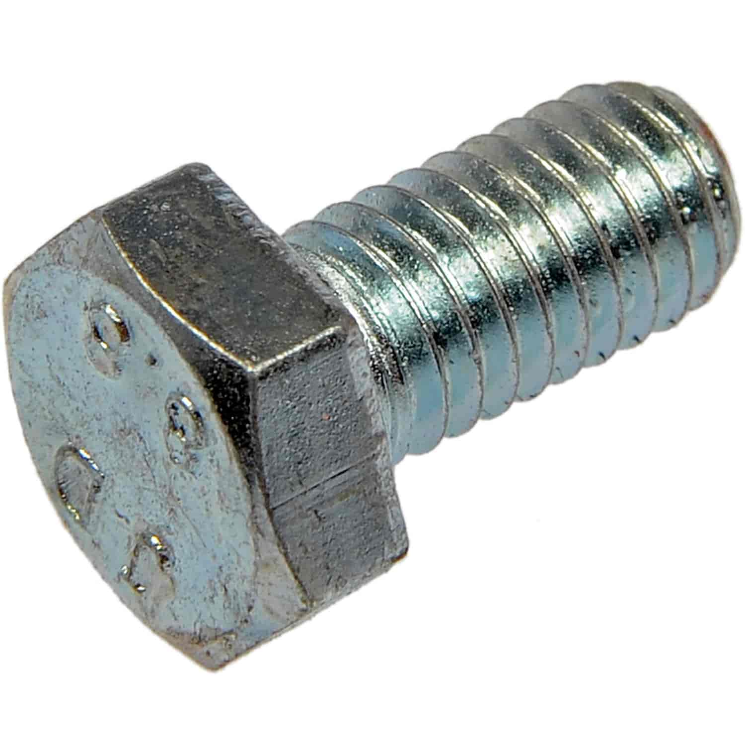 Cap Screw-Hex Nut-Class 8.8- M6-1.0 x 12mm