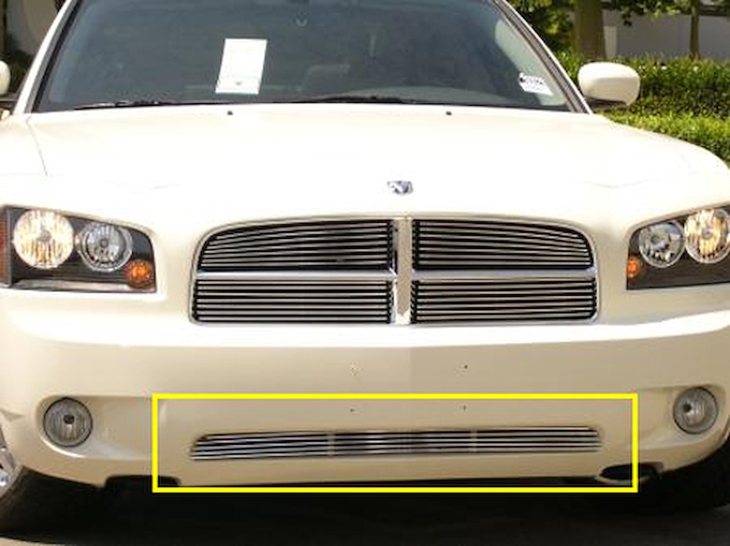 Billet Bumper Grille Insert 2005-2010 Dodge Charger (Except SRT)