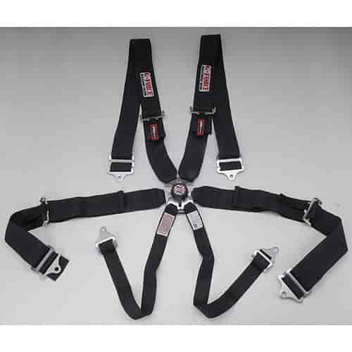 Pro-Series Camlock 6-Point Individual Harness Pull-Up Lap Belt