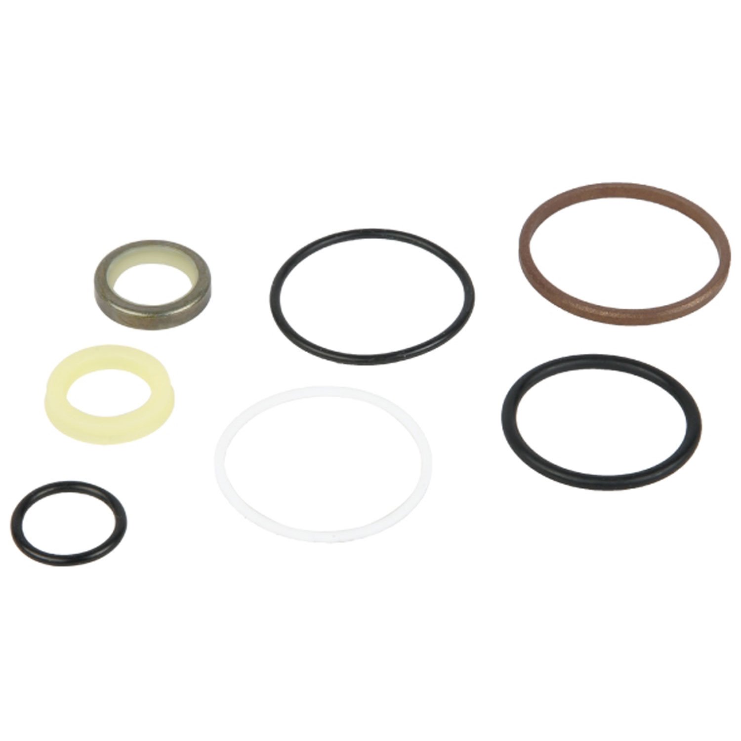 Ram Assist Seal Rebuild Kit