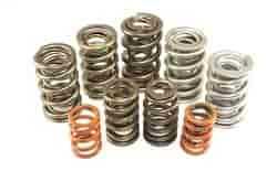 VALVE SPRING SET