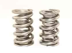 Standard Dual Valve Spring Set 1.600 in. OD