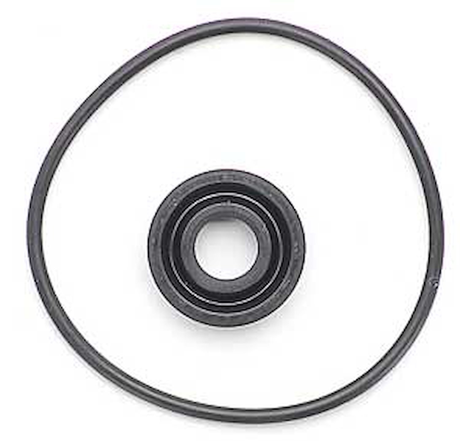 MP-4601-SK Fuel Pump Seal Kit for 4601