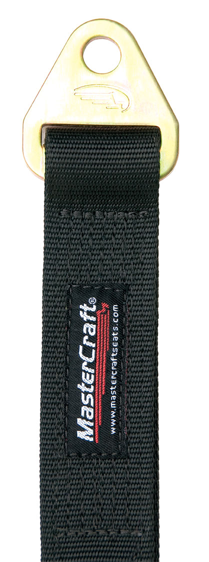 223004 Limit Strap, Double layer, Tab ends with 9/16 in. hole, Black, Length - 23 in.