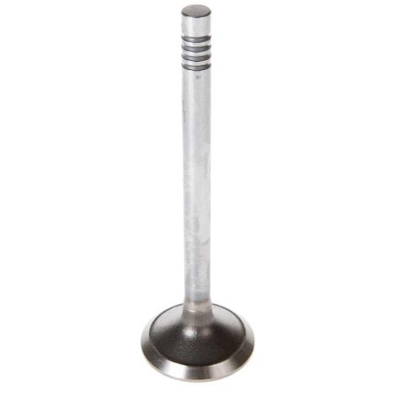 Exhaust Valve