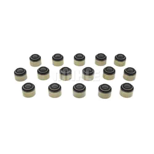 Valve Stem Seal Set