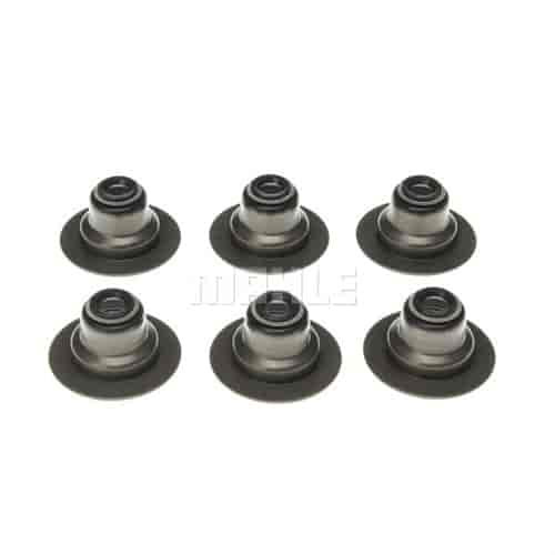 Valve Stem Seal Set