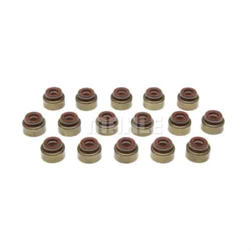 Valve Stem Seal Set