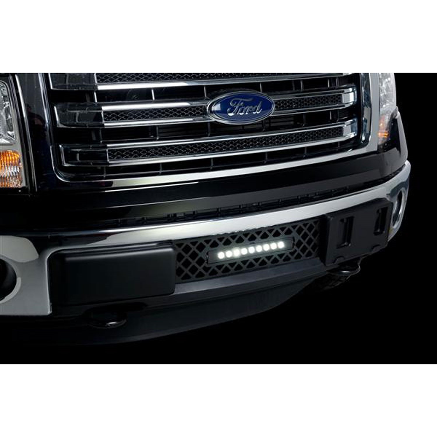 Bumper Grille Insert 2011-14 Ford F150 Ecoboost