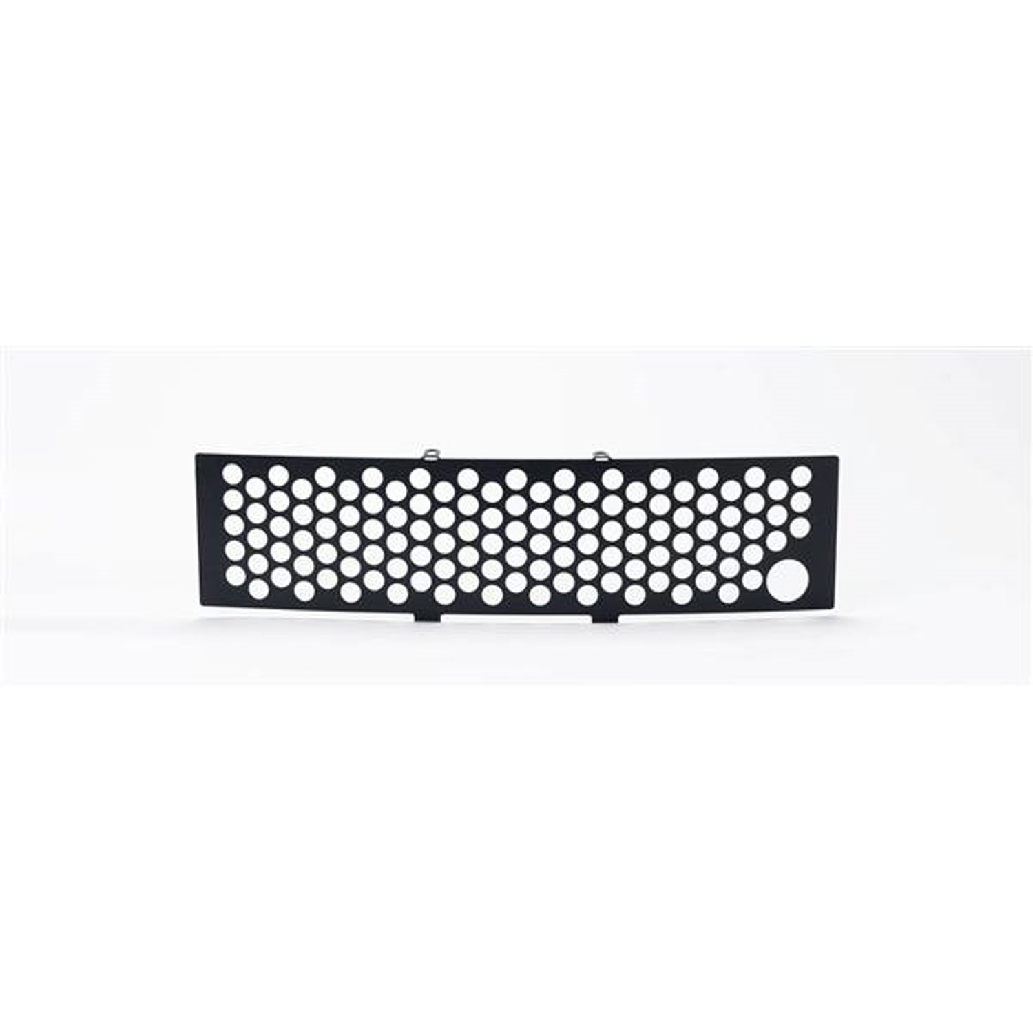 Bumper Grille Insert 2011-14 Ford F150 EcoBoost