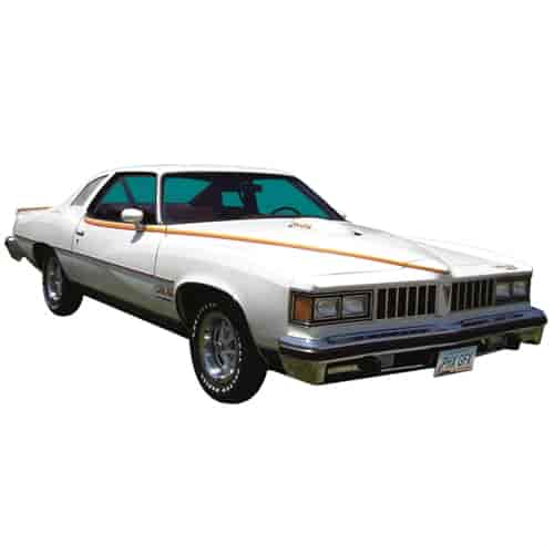Can Am Decal Kit for 1977 Pontiac LeMans