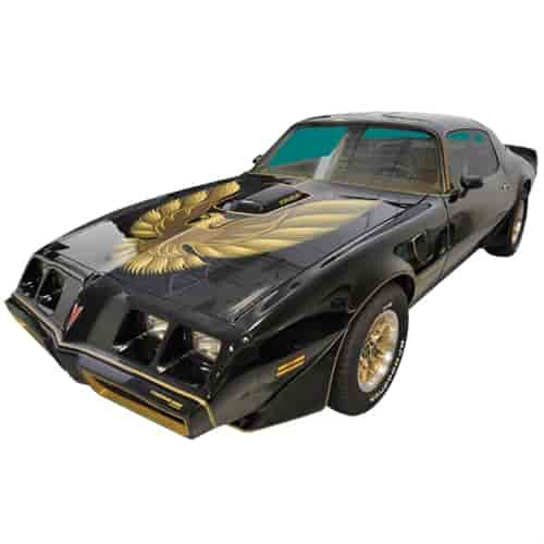 Black Special Edition Decal Kit w/Molded Gold Stripes for 1979 Firebird Trans Am