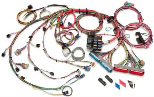 Painless Performance Products 60218 EFI Wiring Harness | eBay lq9 wiring harness 
