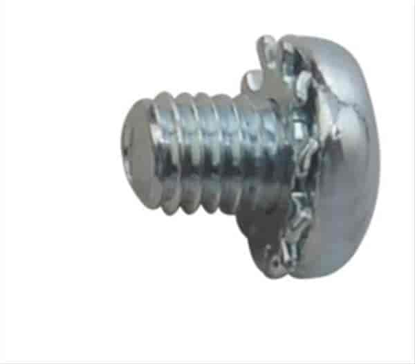 Throttle Shaft Screws