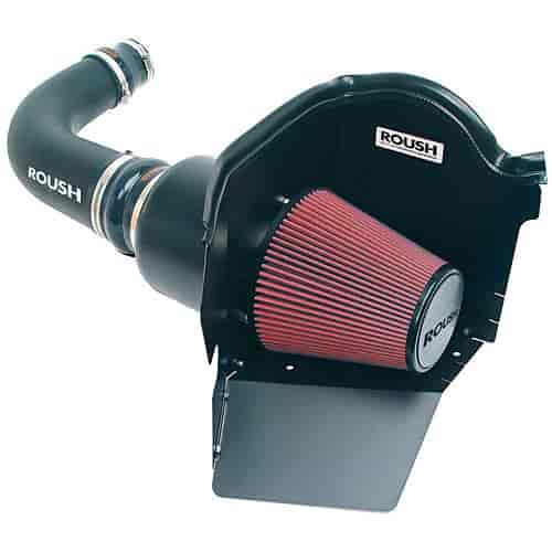 Cold Air Intake Kit 2004-2006 F-150 4.6L