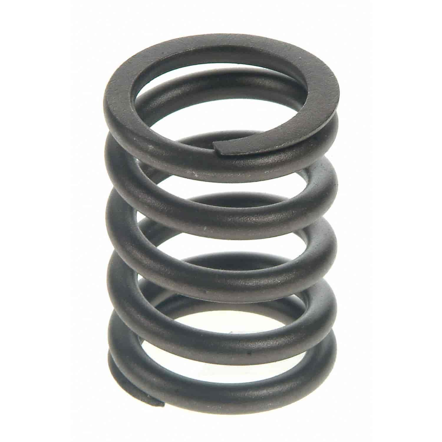 Valve Spring