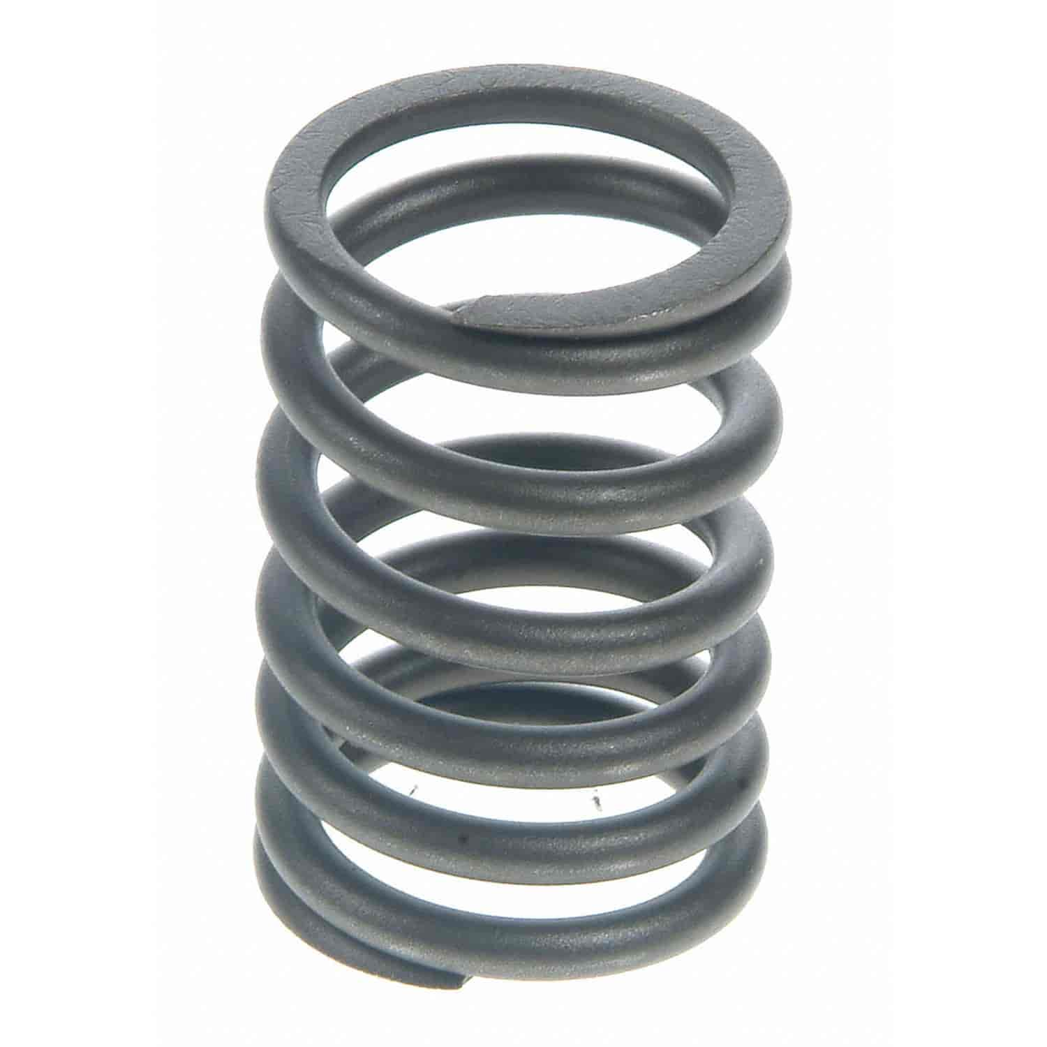 Valve Spring