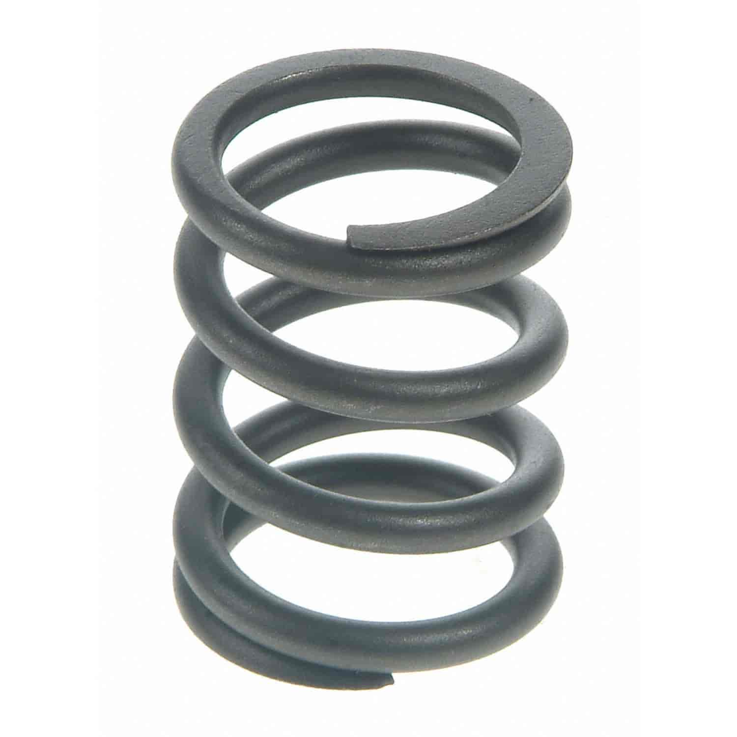 Valve Spring