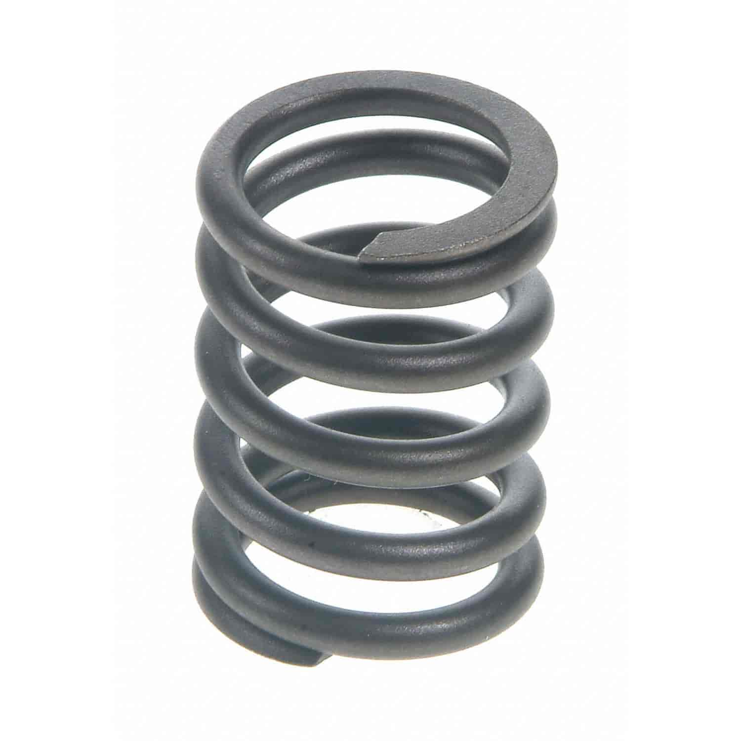 Valve Spring