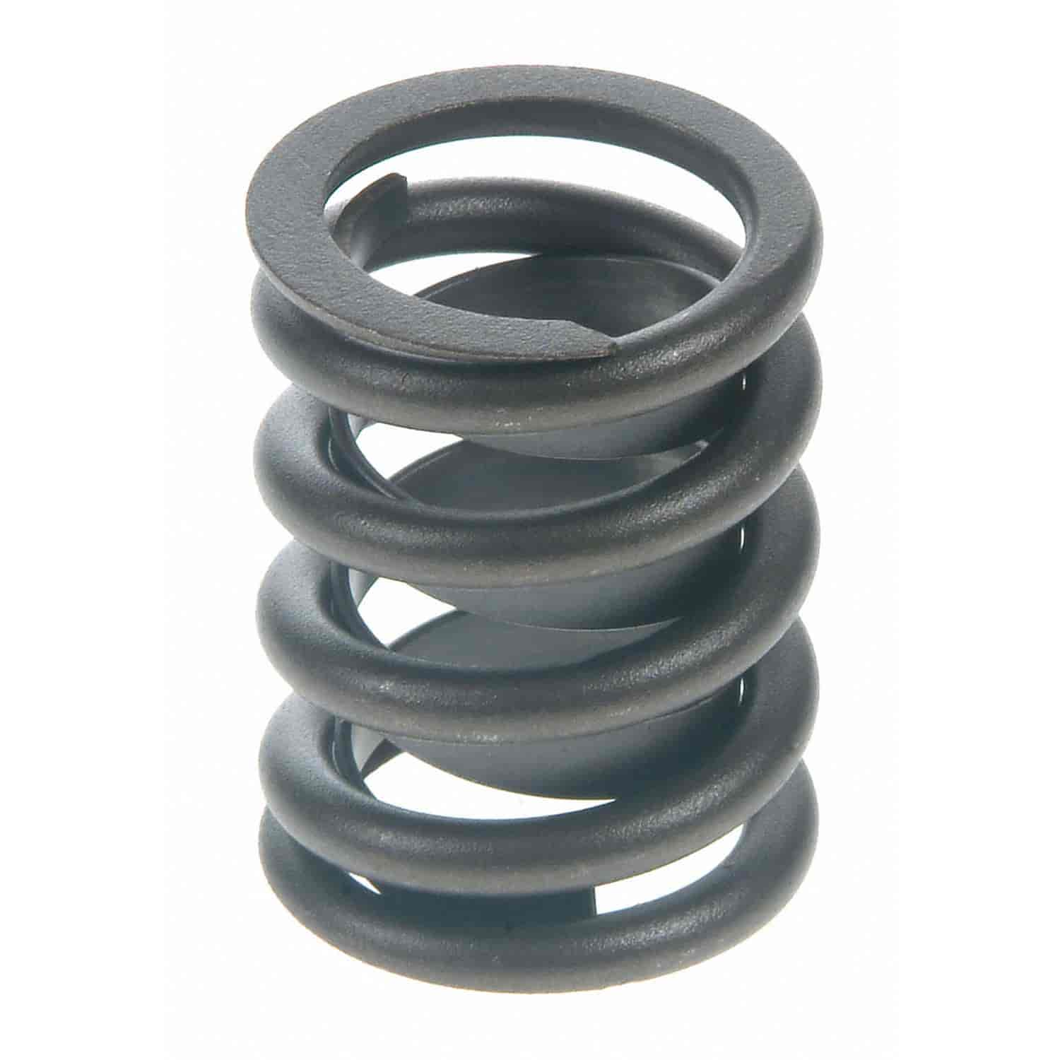 Valve Spring