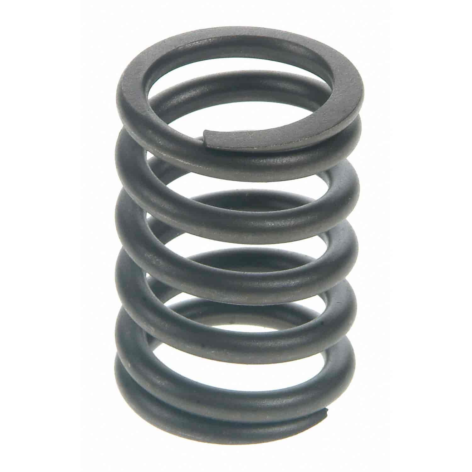 Valve Spring