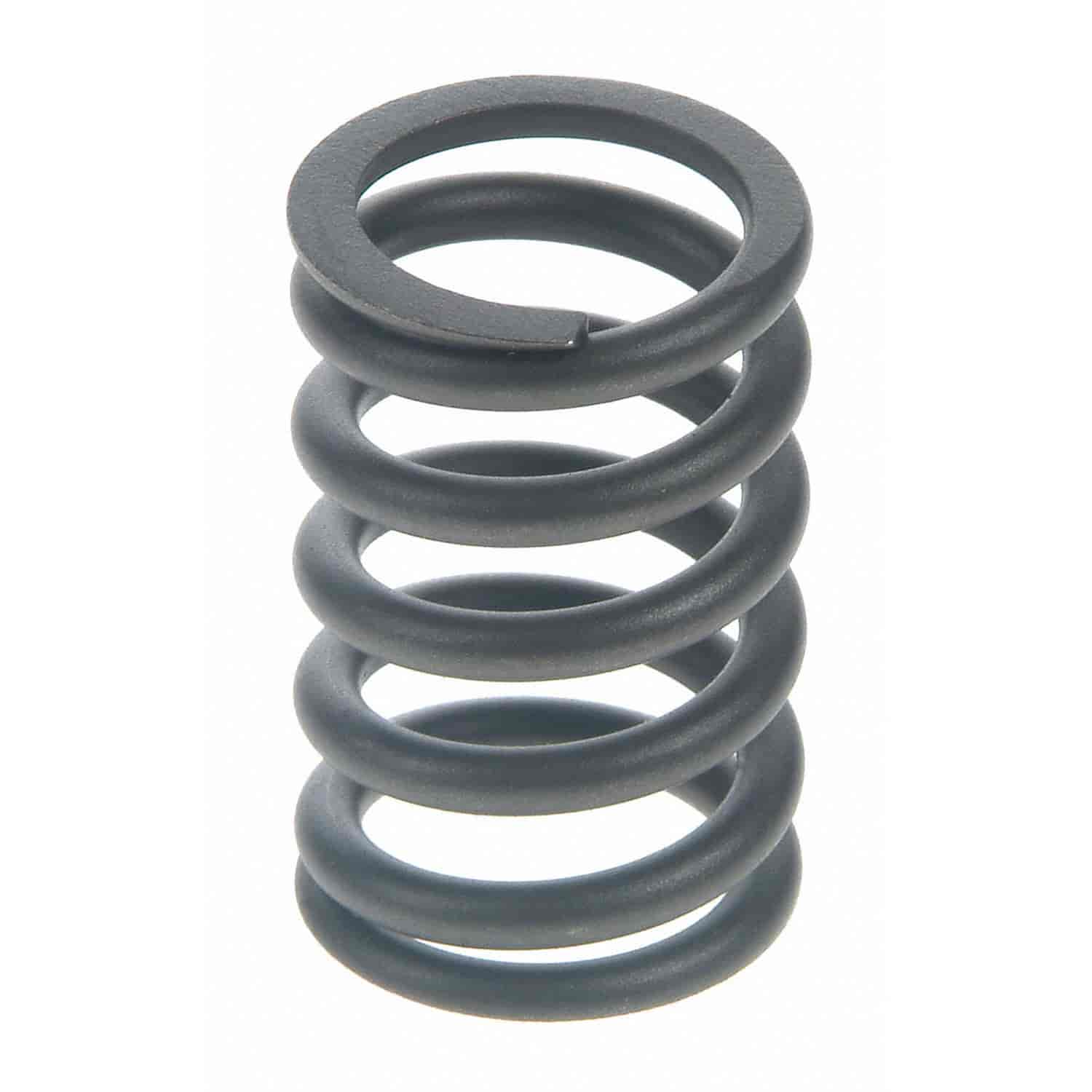 Valve Spring