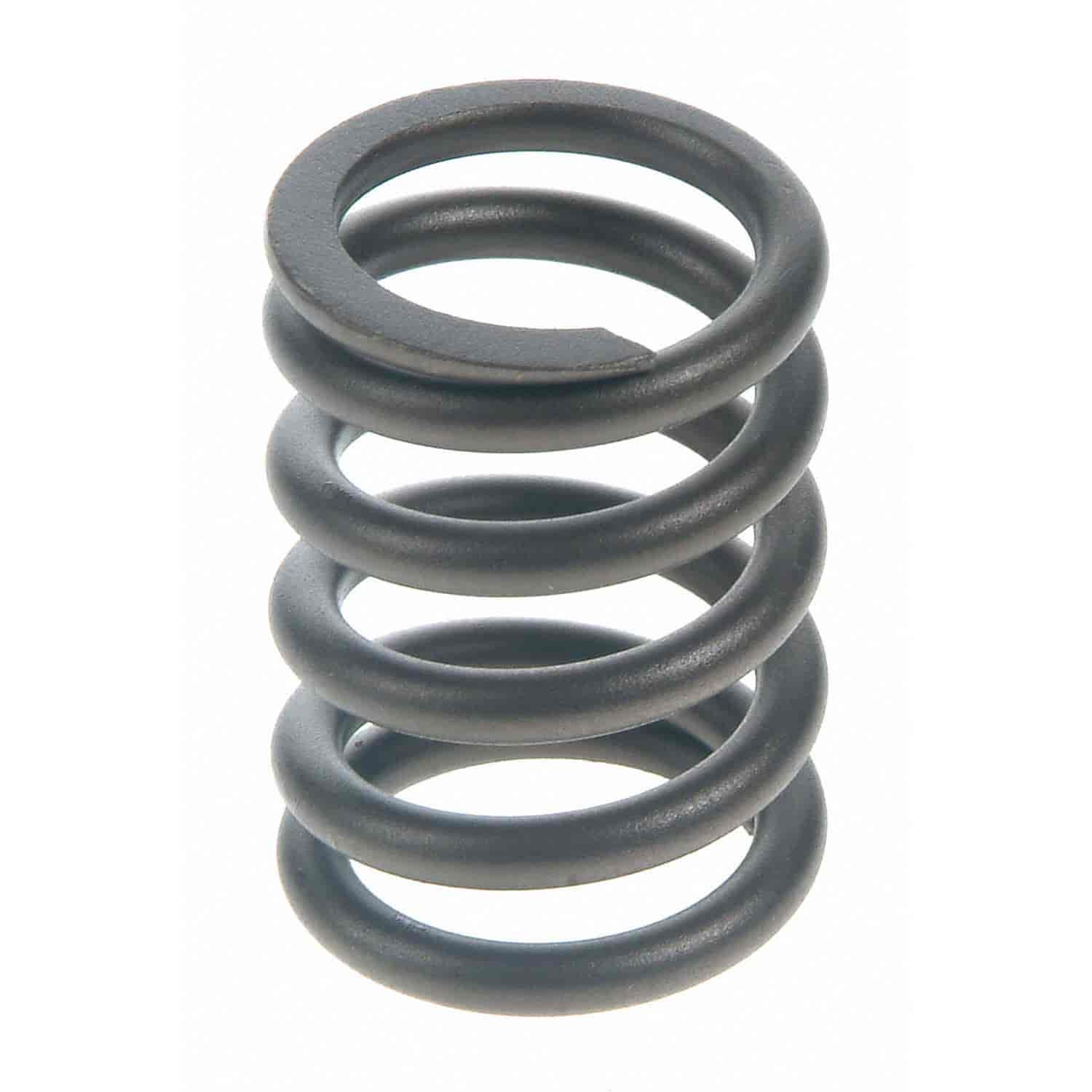 Valve Spring