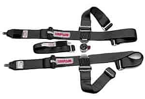 Lever Camlock 5-Point Individual Harness 55