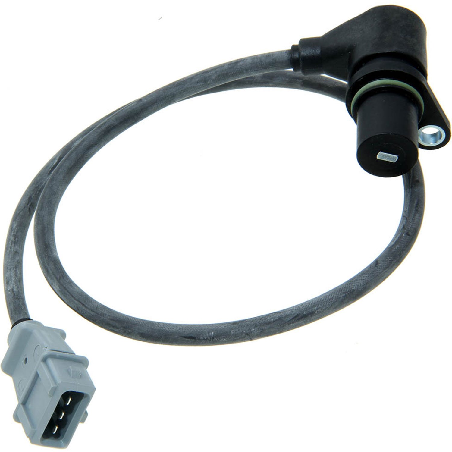 Cam/Crank Position Sensor